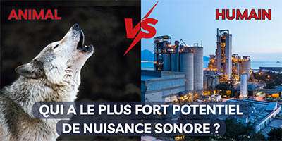 Animal VS Humain : qui a le plus fort potentiel de nuisance sonore ?