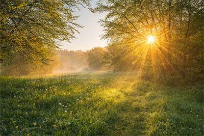 La fatigue de printemps : comprendre, anticiper et prévenir une période à risque