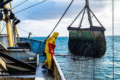 Marin-pêcheur : sous haute tension, la réalité du travail en mer