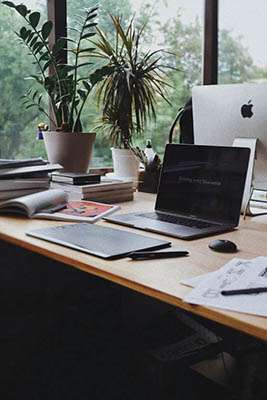 Quelles plantes favorisent le bien-être au bureau ?