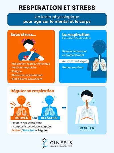 Respirer pour mieux gérer le stress au travail : un levier physiologique encore sous-estimé dans la prévention des RPS