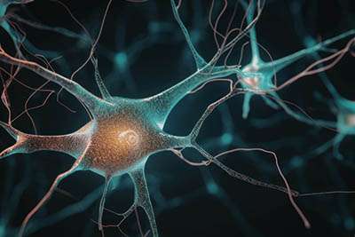Neurosciences et sécurité : pourquoi notre cerveau nous met (parfois) en danger