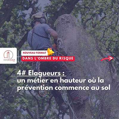 Dans l’ombre du risque : élagueurs, un métier en hauteur où la prévention commence au sol
